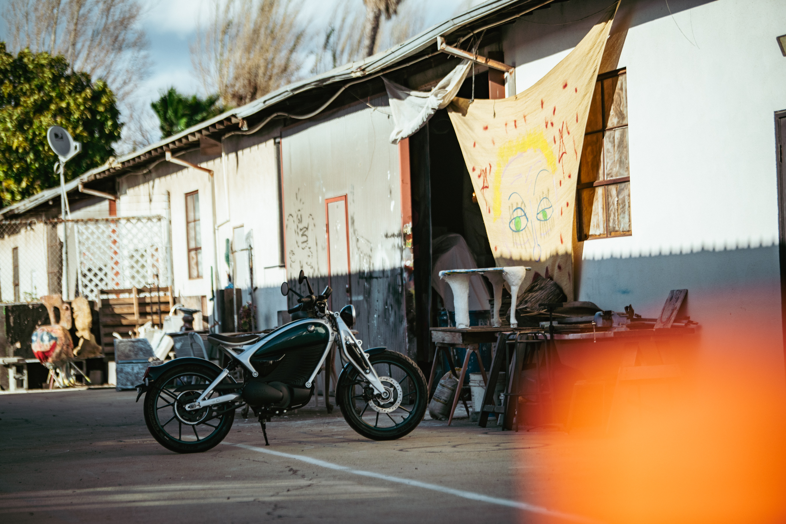 Flying Flee article full bleed